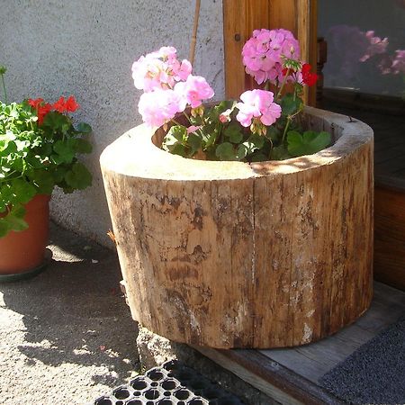 Garni Serena Canazei Exteriör bild